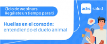imagenes noticias